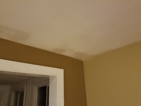 Ceiling A Roof Leak Or Condensation